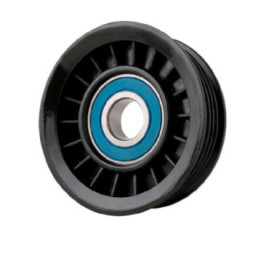 Polea De Accesorios Buick Rendezvous V6 3.4L 2002-2005