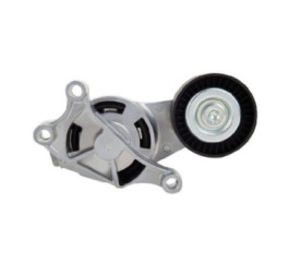 Tensor De Accesorios Audi A3 L4 2.0L 2006-2008