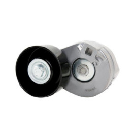 Tensor De Accesorios Ford Focus L4 2.0L 2000-2004