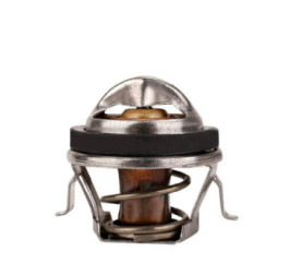 Termostato Ford Focus L4 2.0L 2000-2004