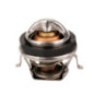 Termostato Ford Focus L4 2.0L 2000-2004