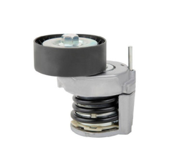 Tensor De Accesorios Seat Cordoba L4 1.6L 2006-2009