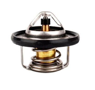 Termostato Nissan Juke L4 1.6L 2011-2017