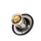 Termostato Nissan Juke L4 1.6L 2011-2017