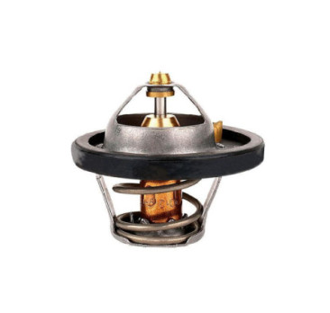 Termostato Ford Ecosport L4 2.0L 2013-2015