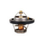 Termostato Ford Ecosport L4 2.0L 2013-2015