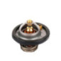 Termostato Ford Ecosport L4 2.0L 2013-2015