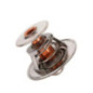Termostato Volkswagen Beetle L4 1.9L 1998-2006