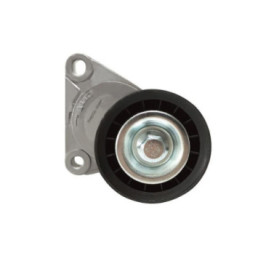 Tensor De Accesorios Ford Ecosport L4 2.0L 2004-2012