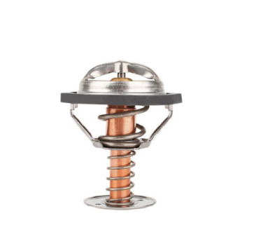 Termostato Buick Lucerne V8 4.6L 2006-2011