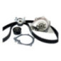 Kit De Banda De Distribución C/Bomba Peugeot 307 L4 2.0L 2003-2005