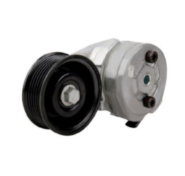 Tensor De Accesorios Chevrolet Express 2500 V8 6.6L 2006-2009