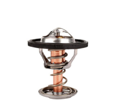 Termostato Buick Rainier V8 5.3L 2007