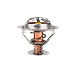 Termostato Nissan Cabstar L4 2.5L 2008-2013