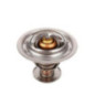 Termostato Nissan Cabstar L4 2.5L 2008-2013