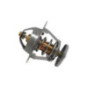 Termostato Ford Transit L4 2.2L 2008-2015