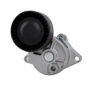 Tensor De Accesorios Bmw 320I L6 2.0L 2001-2004