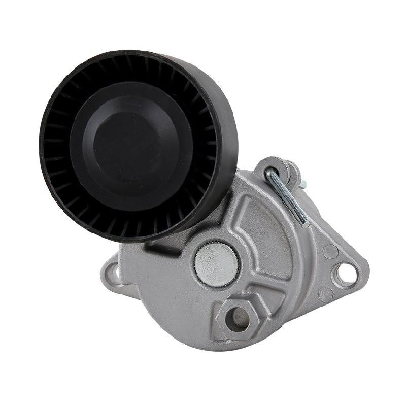 Tensor De Accesorios Bmw 320I L6 2.0L 2001-2004