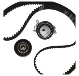 Kit De Banda De Distribución Peugeot 307 L4 2.0L 2003-2005