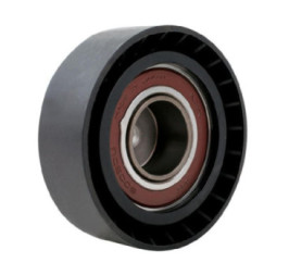 Polea De Accesorios Volkswagen Eurovan L5 2.5L 2001-2005