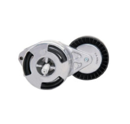 Tensor De Accesorios Audi A4 V6 3.2L 2005-2008