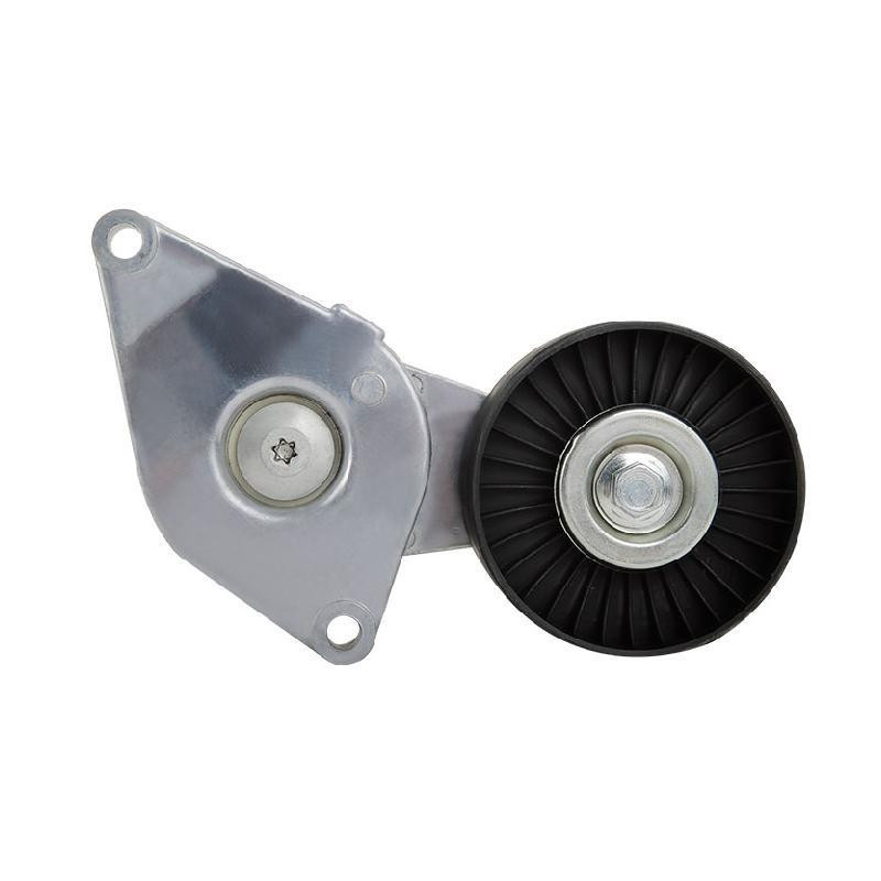 Tensor De Accesorios Land Rover Freelander V6 2.5L 2002-2005