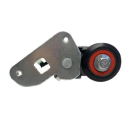 Tensor De Accesorios Buick Lucerne V8 4.6L 2006-2011