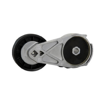 Tensor De Accesorios Buick Terraza V6 3.9L 2006-2007