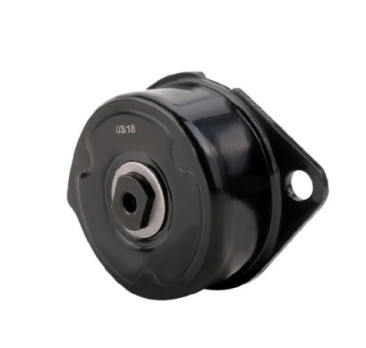 Tensor De Accesorios Volkswagen Eurovan L5 2.5L 2001-2005