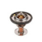 Termostato Cadillac Escalade V8 5.3L 2002-2005