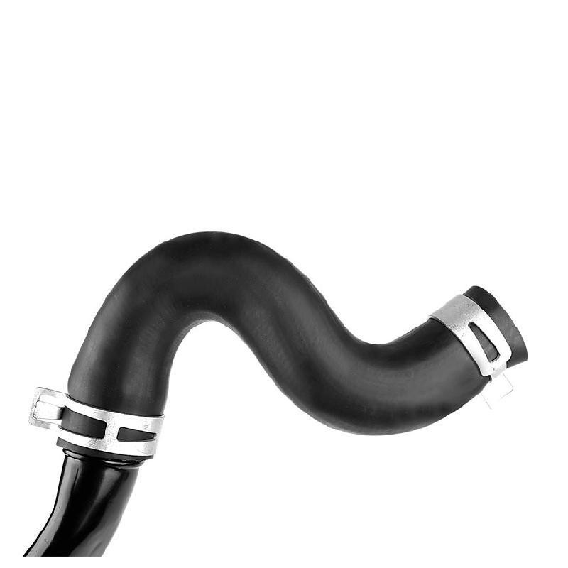 Tubo De Enfriamiento Ford Focus L4 2.0L 2000-2004