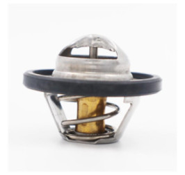 Termostato Mg 5 L4 1.5L 2021-2023