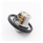 Termostato Mg 5 L4 1.5L 2021-2023
