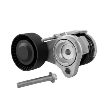 Tensor De Accesorios Bmw 128I L6 3.0L 2008-2013