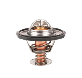 Termostato Chevrolet Astro V6 4.3L 1996-2005