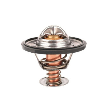 Termostato Chevrolet Astro V6 4.3L 1996-2005