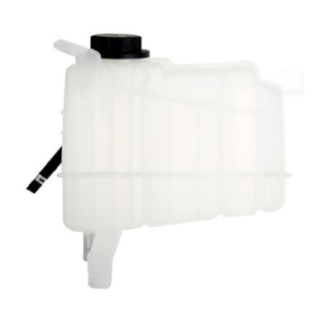 Depósito De Anticongelante Ford Expedition V8 4.6L 1997-2002