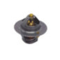 Termostato Ford Explorer V6 4.0L 1991-2000