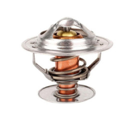 Termostato Volkswagen Beetle L4 1.9L 1998-2006