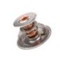 Termostato Volkswagen Beetle L4 1.9L 1998-2006