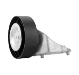 Polea De Accesorios Volkswagen Beetle L5 2.5L 2006-2015