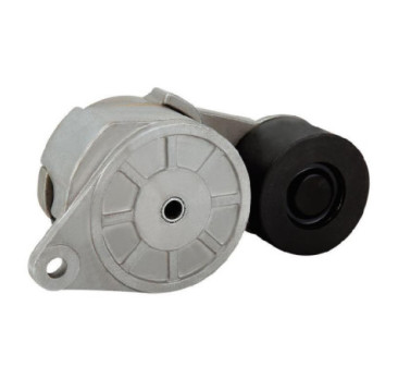 Tensor De Accesorios Hd Freightliner Hd Argosy L6 11.1L 2000