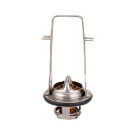 Termostato Chevrolet Lumina L4 2.5L 1990-1992