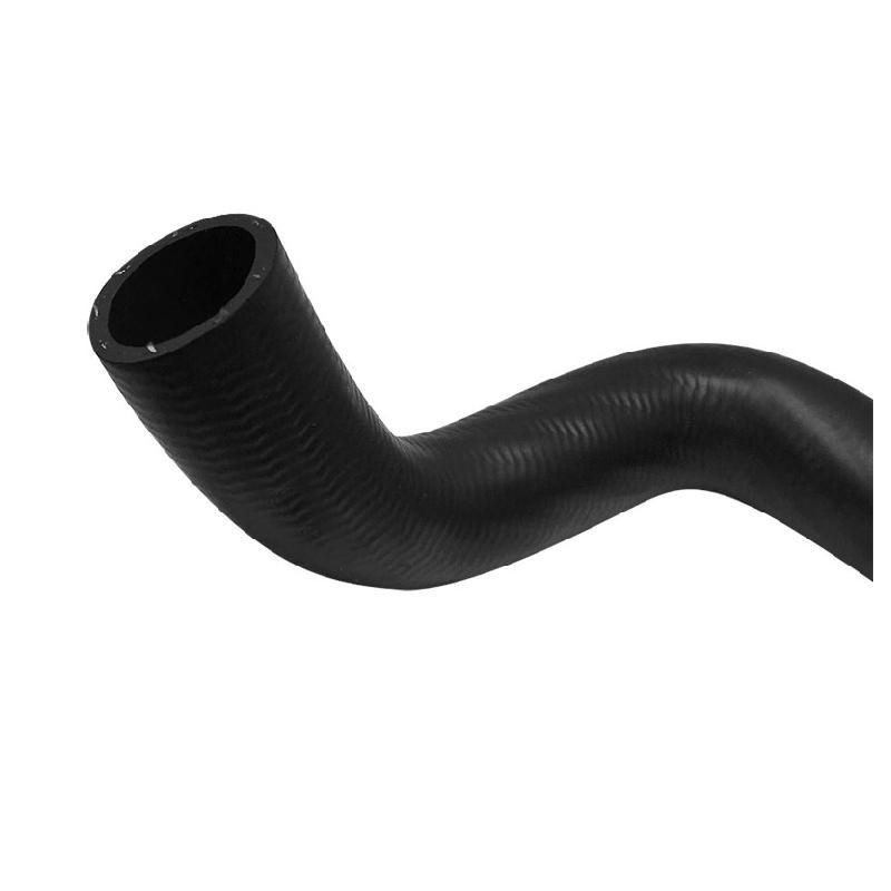 Manguera Moldeada Ford Focus L4 2.0L 2000-2004