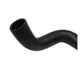 Manguera Moldeada Ford Focus L4 2.0L 2000-2004