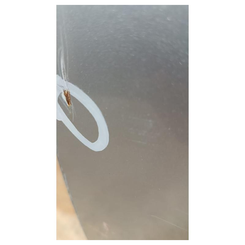 Puerta Volkswagen Bora 2005 Al 2010
