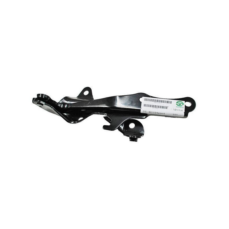 Bisagra cofre euro clio 07-09 2218 der