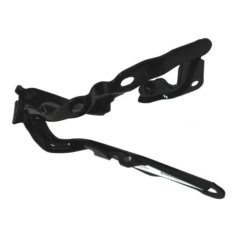 Bisagra cofre camry 07-11 der