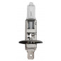 Bulbo halogeno h1 12v 55w